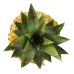 Super ananas - 30 bustine da 10 ml - per il drenaggio dei liquidi corporei