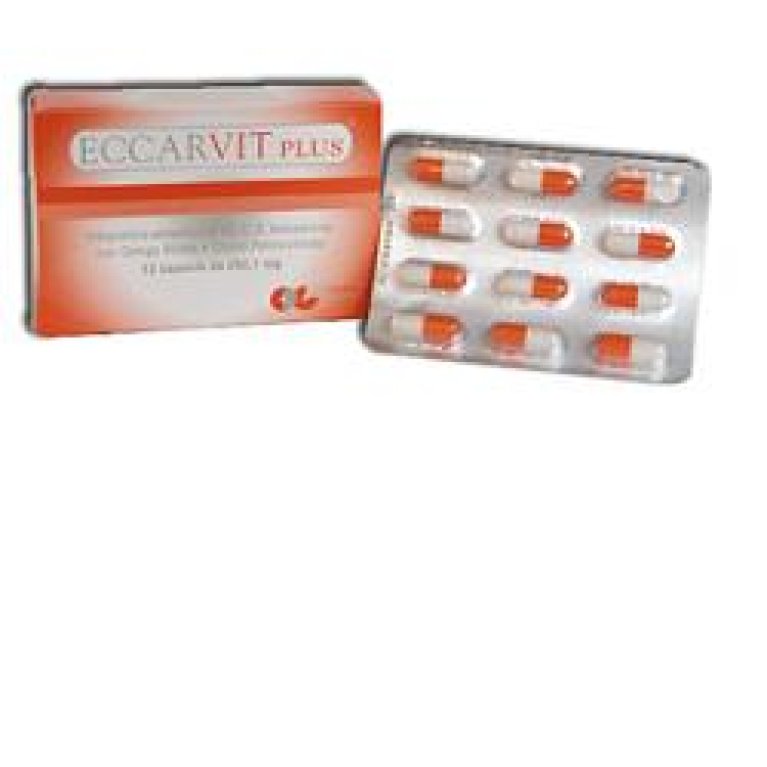 ECCARVIT PLUS 12CPS