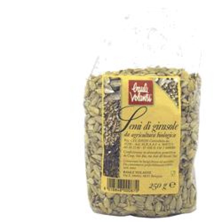 GIRASOLE SEMI SGUSCIATI 400G