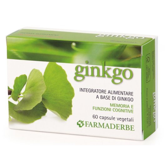 NUTRA GINKGO INTEGRAT 60CPS