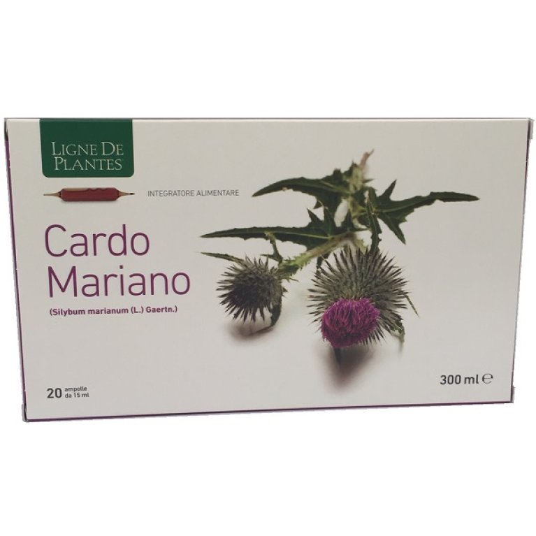 CARDO MARIANO 20AB 15ML