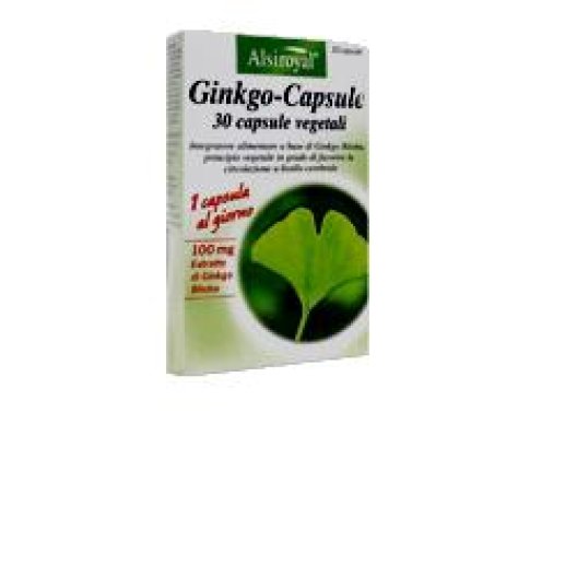 GINKGO CAPSULE 30CPS