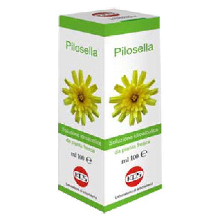 PILOSELLA SOL IAL PIANTA FR100