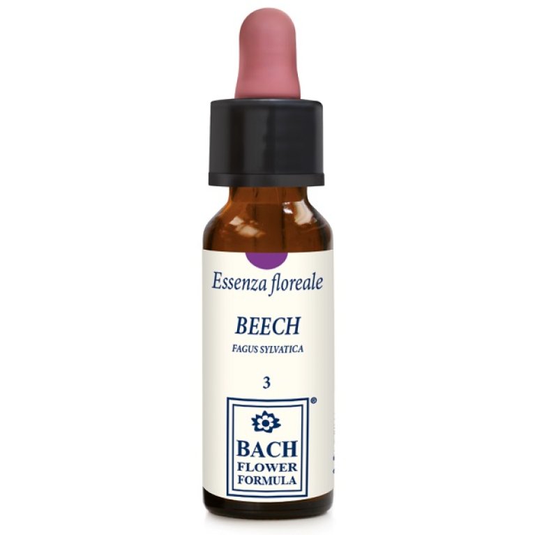 BEECH ORIGINAL 10ML GTT