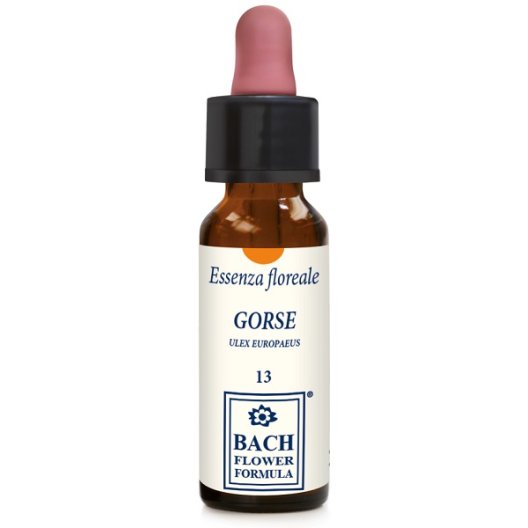 GORSE ORIGINAL 10ML GTT