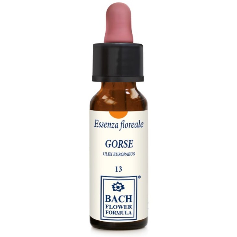 GORSE ORIGINAL 10ML GTT