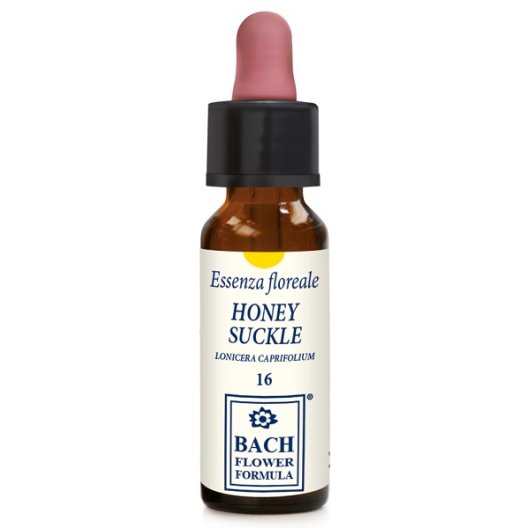 HONEYSUCKLE ORIGINAL 10ML GTT