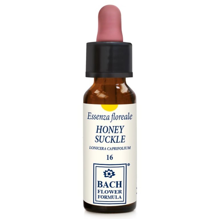 HONEYSUCKLE ORIGINAL 10ML GTT