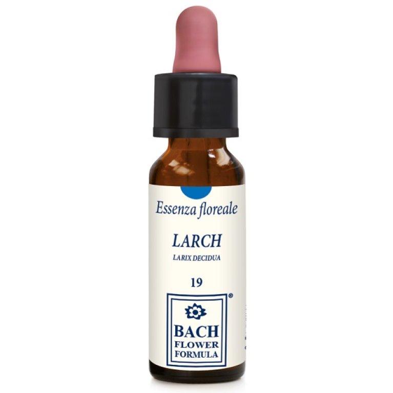 LARCH ORIGINAL 10ML GTT