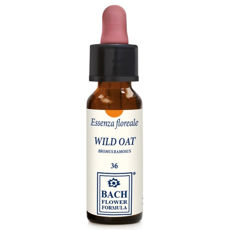 WILD OAT ORIGINAL 10ML GTT