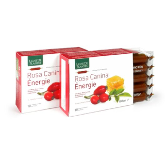 ROSA CANINA ENERGIE BIO 10AMP