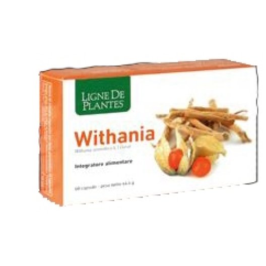 WITHANIA 60CPS NATURA SERVICE