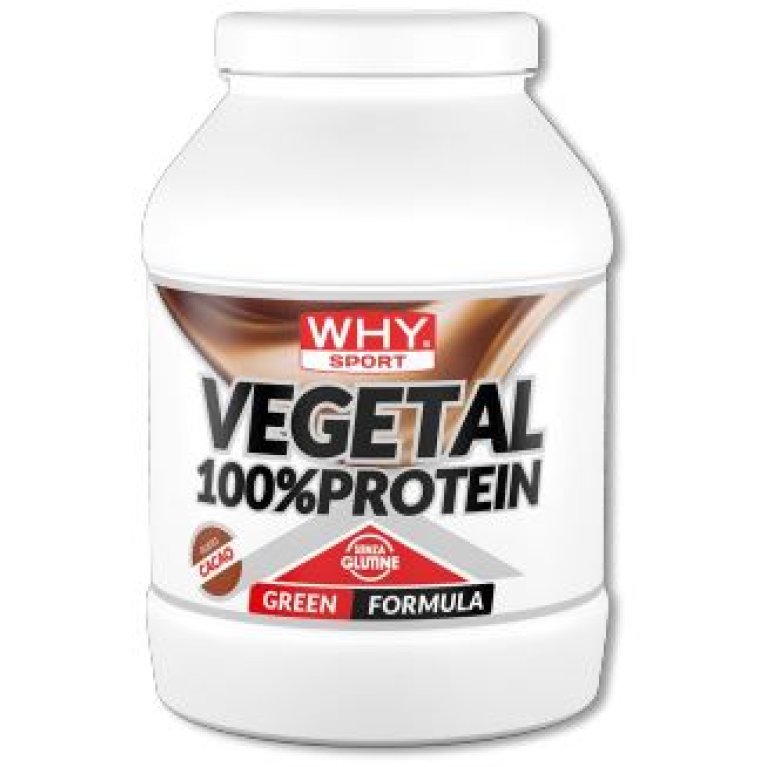 100% VEGETAL PROTEIN CACAO750G