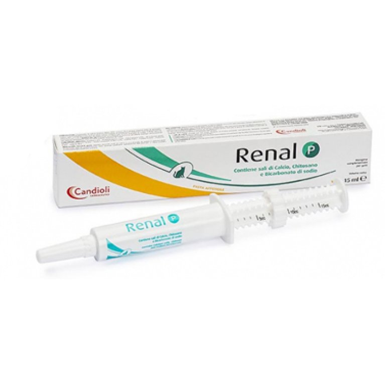 Renal P pasta per gatti in siringa da 15 ml