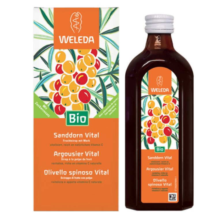 OLIVELLO SPINOSO VITAL SCIR