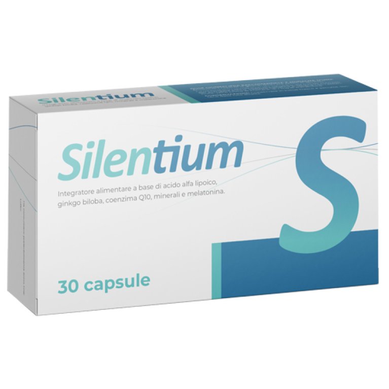 SILENTIUM 30CPS SEIKOU