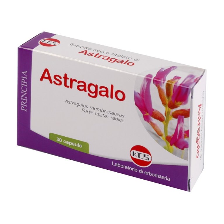 ASTRAGALO ES 70% 500MG 30CPS