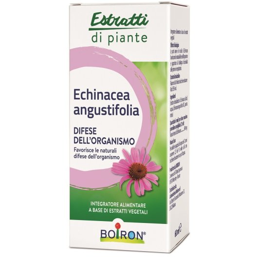 ECHINACEA ANG BOI EI 60ML INT