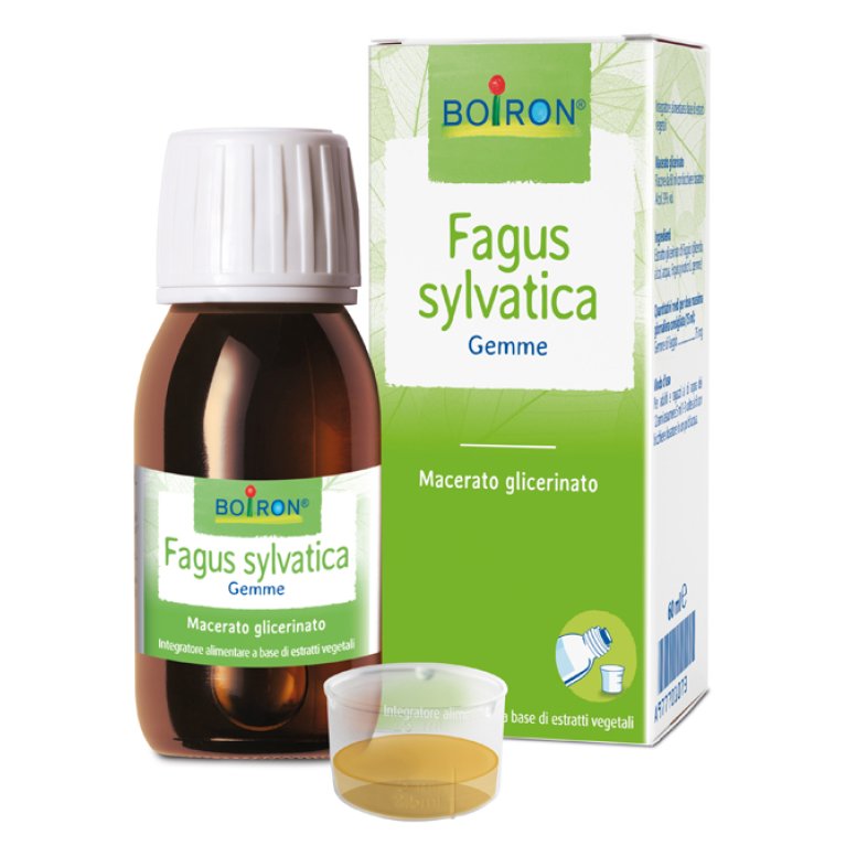 FAGUS SYLVATICA MG 60ML INT