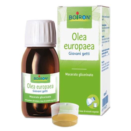 OLEA EUROPAEA MG 60ML INT