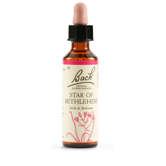 Star of Bethlehem - Fiore di Bach originale n°29 - 20 ml
