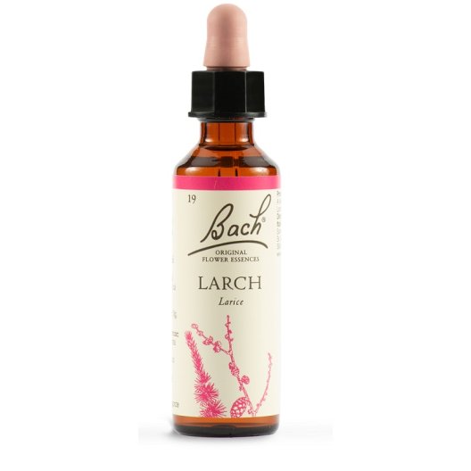 Larch - Fiore di Bach Originale n°19 - 20 ml