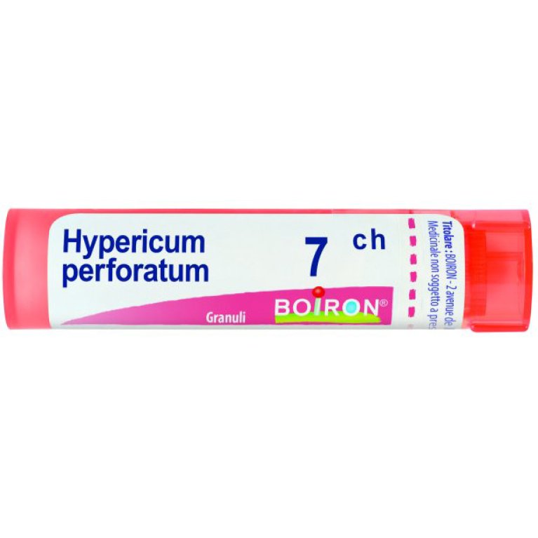 HYPERICUM PERFOR 7CH GR