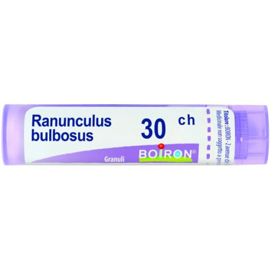 RANUNCULUS BULBOSUS 30CH GR