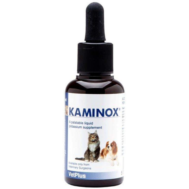 KAMINOX SCIROPPO 60 ML