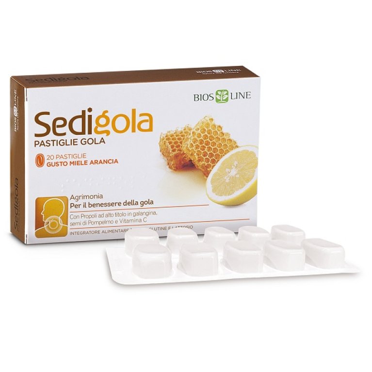 APIX SEDIGOLA MIELE ARA 20PAST APIX SEDIGOLA MIELE ARA 20PAST