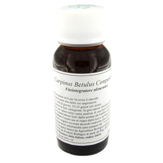 LVS 20N CARPINUS BETULUS COMP