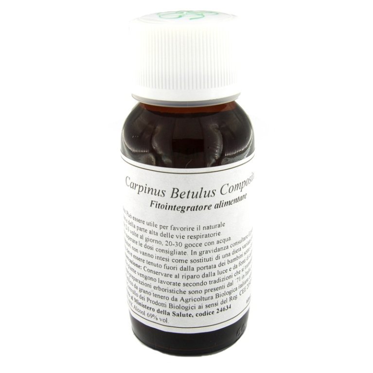 LVS 20N CARPINUS BETULUS COMP