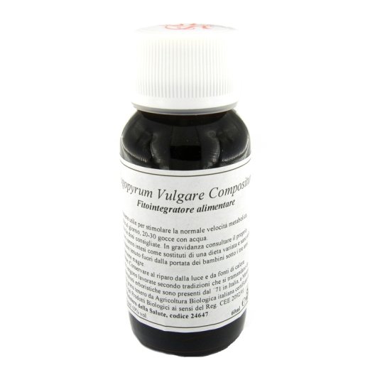 LVS 33S FAGOPYRUM VULGARE COMP