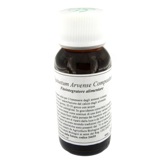 LVS 41N EQUISETUM ARVENSE COMP