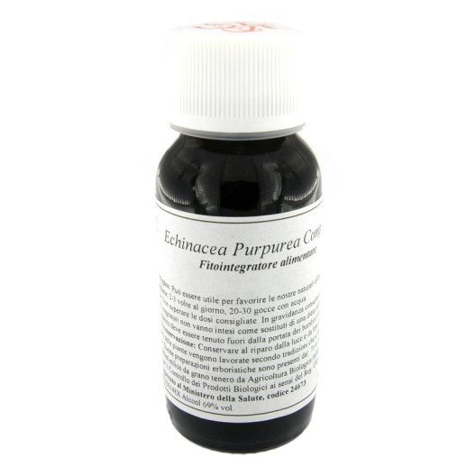 LVS 67S ECHINACEA PURPUREA COM