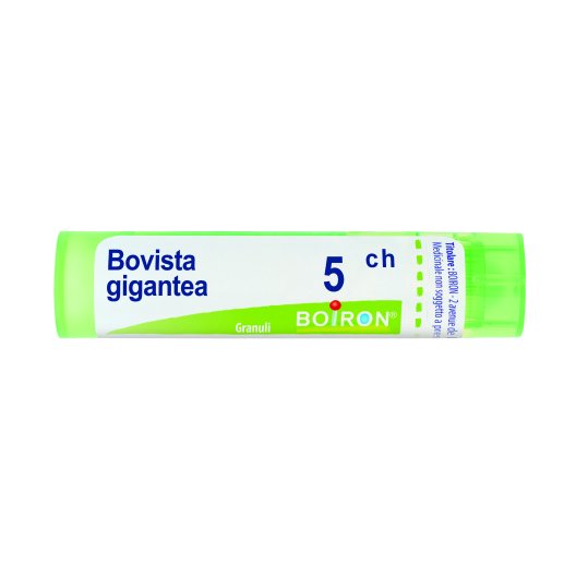 BOVISTA GIGANTEA*5CH 80GR 4G