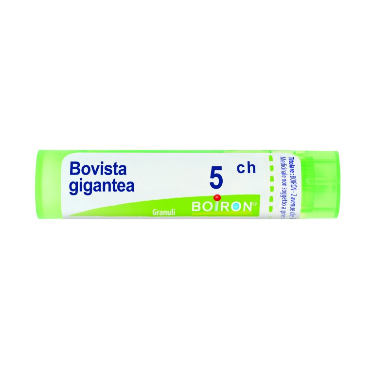 BOVISTA GIGANTEA*5CH 80GR 4G