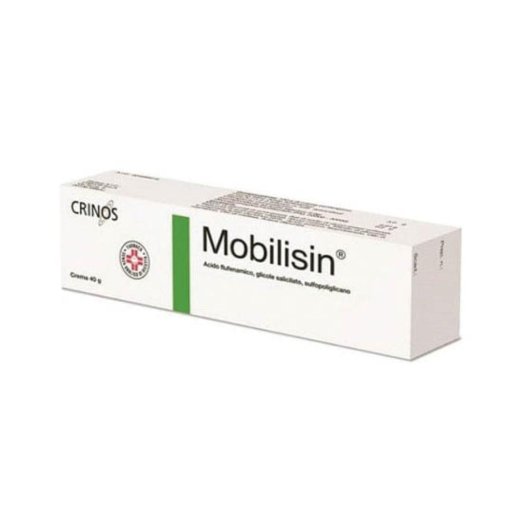 MOBILISIN*CREMA 40G