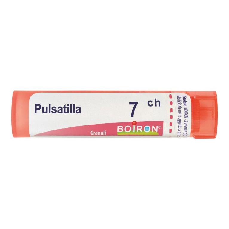 PULSATILLA*7CH 80GR 4G PULSATILLA*7CH 80GR 4G