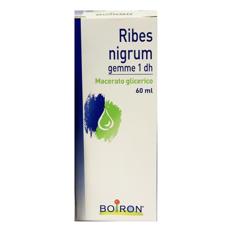 RIBES NIGRUM GEMME 60ML MG RIBES NIGRUM GEMME 60ML MG