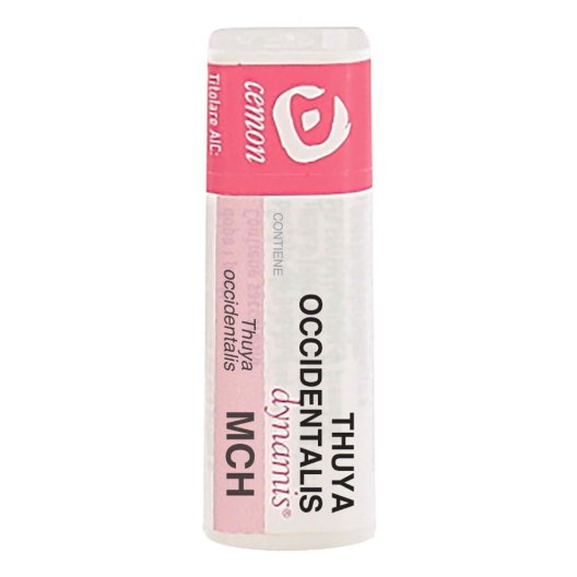 THUYA OCCIDENT MCH GL