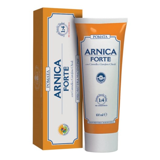 ARNICA FORTE POMATA 100ML ARNICA FORTE POMATA 100ML