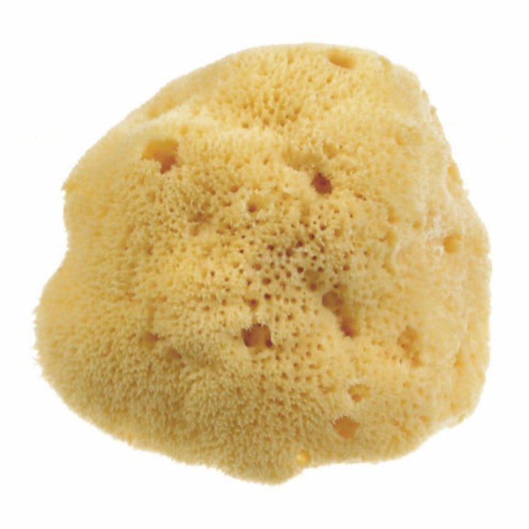 BEAUTYTIME SPUG NAT DAMA M BEAUTYTIME SPUG NAT DAMA M