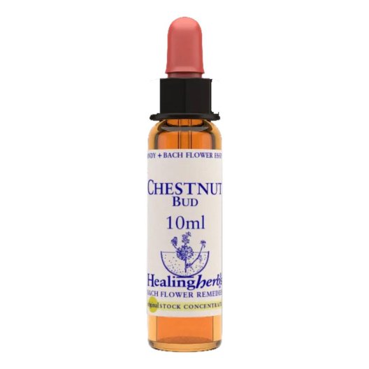 CHESTNUT BUD ESS 10ML INGL HER
