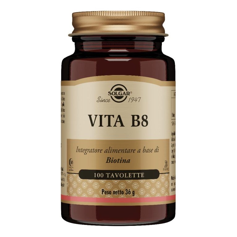 VITA B8 100TAV