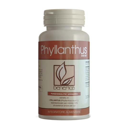 DAB 007 PHYLLANTHUS 60TAV DAB 007 PHYLLANTHUS 60TAV