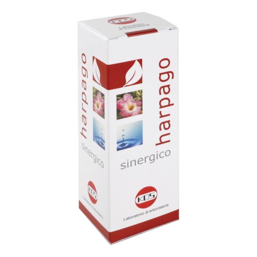 HARPAGO SINERGICO GTT 100ML KO HARPAGO SINERGICO GTT 100ML KO
