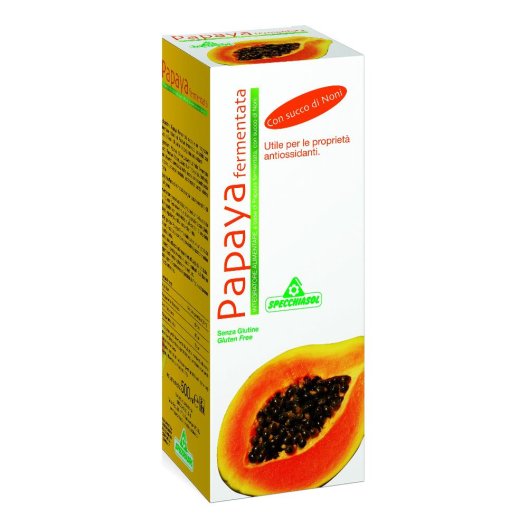 PAPAYA FERMENTATA 500ML PAPAYA FERMENTATA 500ML