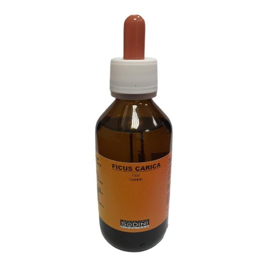 FICUS CARICA SOL GLAL 100ML FICUS CARICA SOL GLAL 100ML