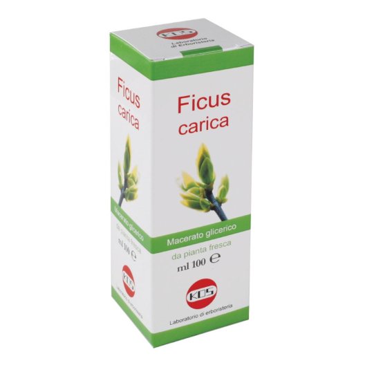 FICUS CARICA MG 100ML GTT FICUS CARICA MG 100ML GTT